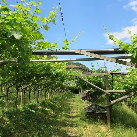 Wertischer Hof Appartement Tramin an der Weinstraße Buitenkant foto