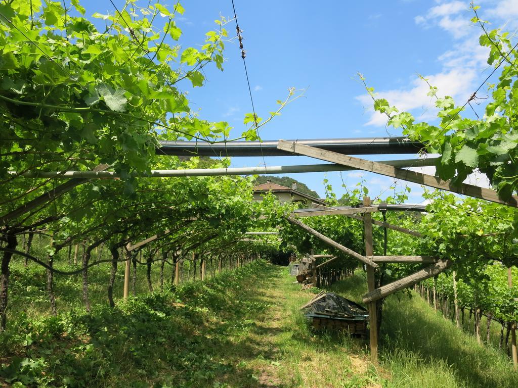 Wertischer Hof Appartement Tramin an der Weinstraße Buitenkant foto