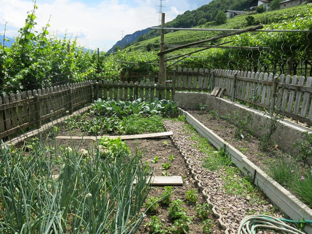 Wertischer Hof Tramin an der Weinstraße Buitenkant foto